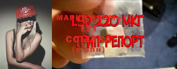дмт Аркадак